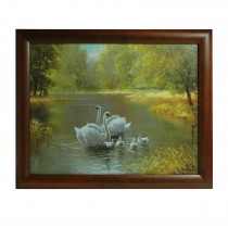 Framed picture "swan family"